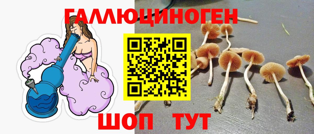 Псилоцибиновые грибы мицелий Воскресенск